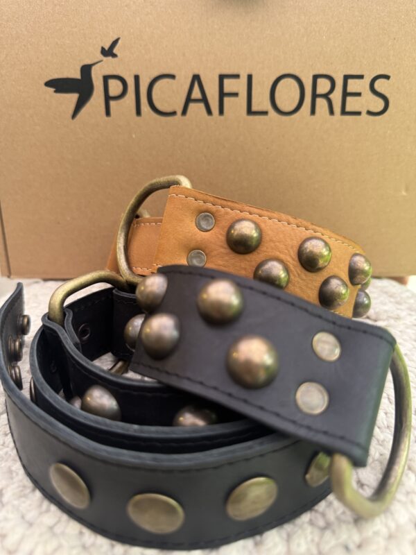 Cinturón Tachas - Image 4